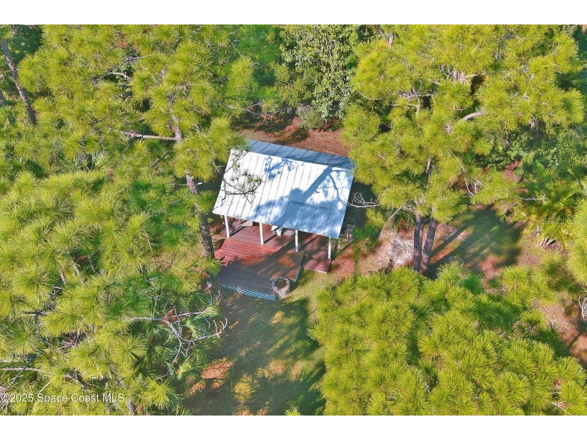 4060 Edisto Drive Grant FL 32949 V4946289 image8