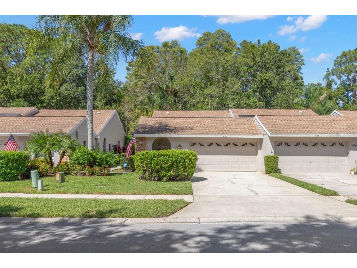 4060 Salem Square Parkway Palm Harbor FL 34685 TB8431209 image1