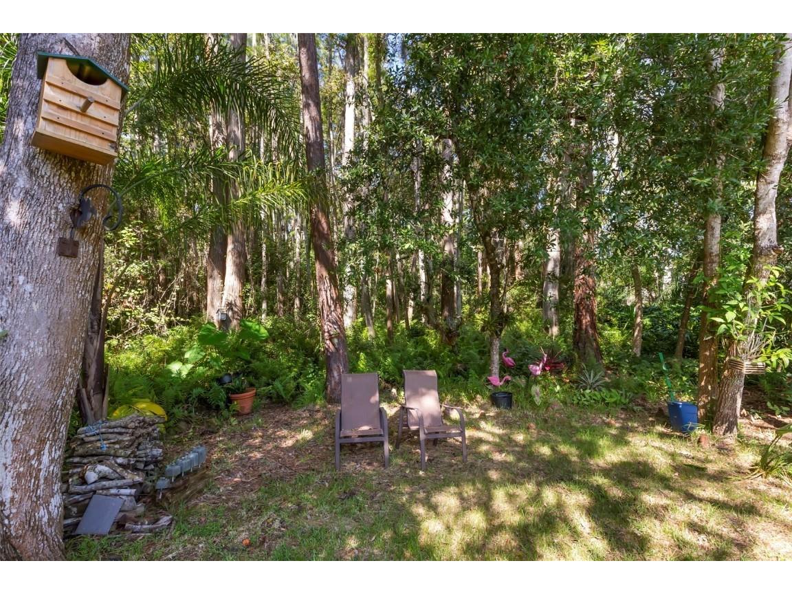 4060 Salem Square Parkway Palm Harbor FL 34685 TB8431209 image25