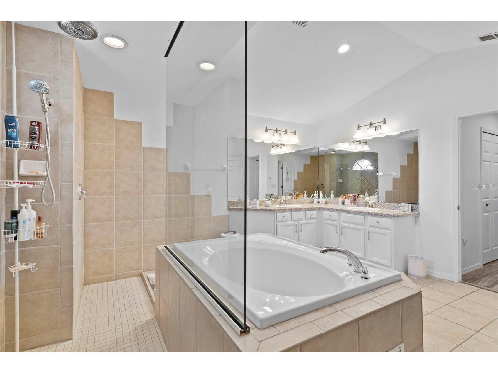 4061 Misty View Drive Spring Hill FL 34609 W7883999 image39