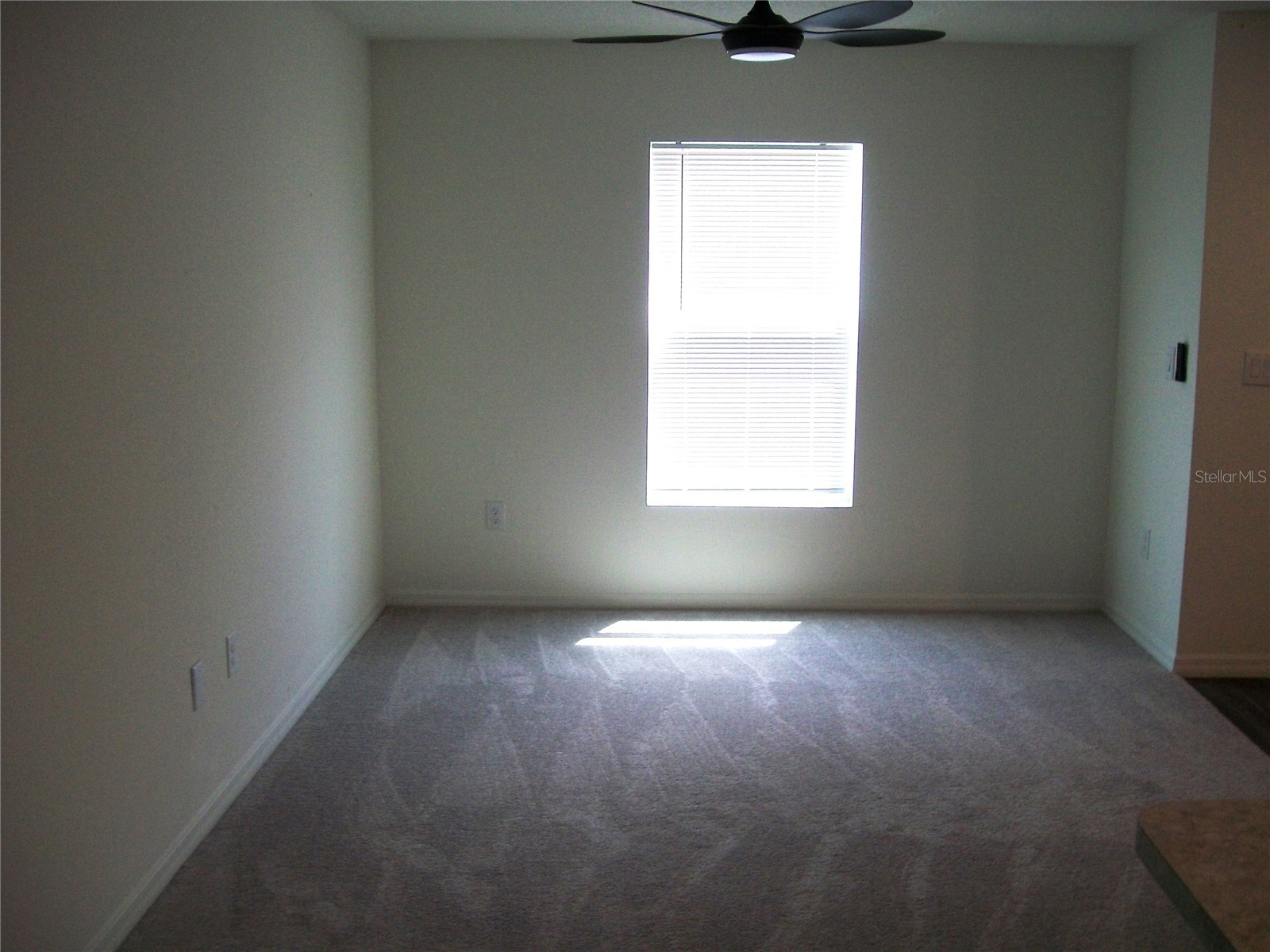 4061 SW 133rd Lane Ocala FL 34473 OM721802 image10