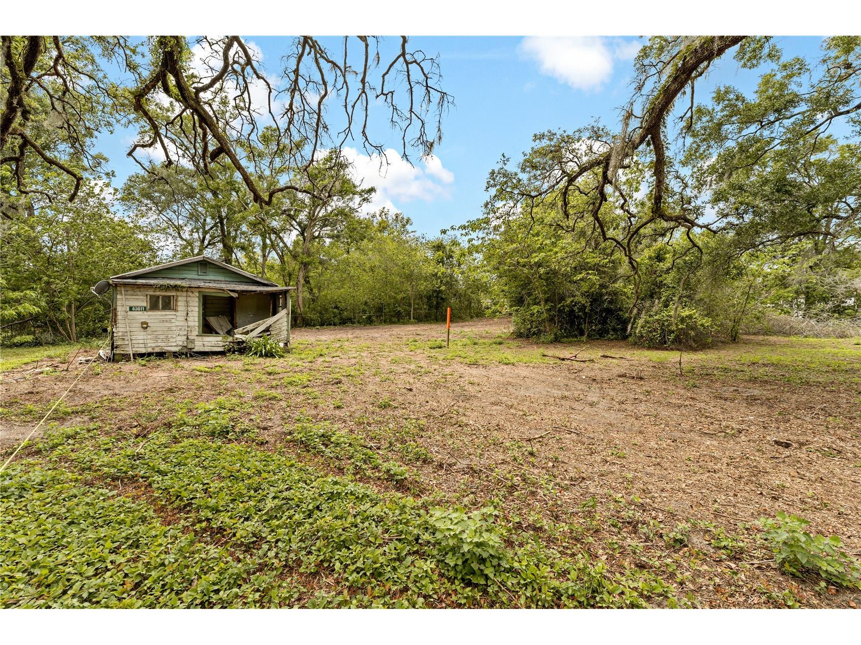 40611 Otis Allen Road Zephyrhills FL 33540 TB8498242 image3