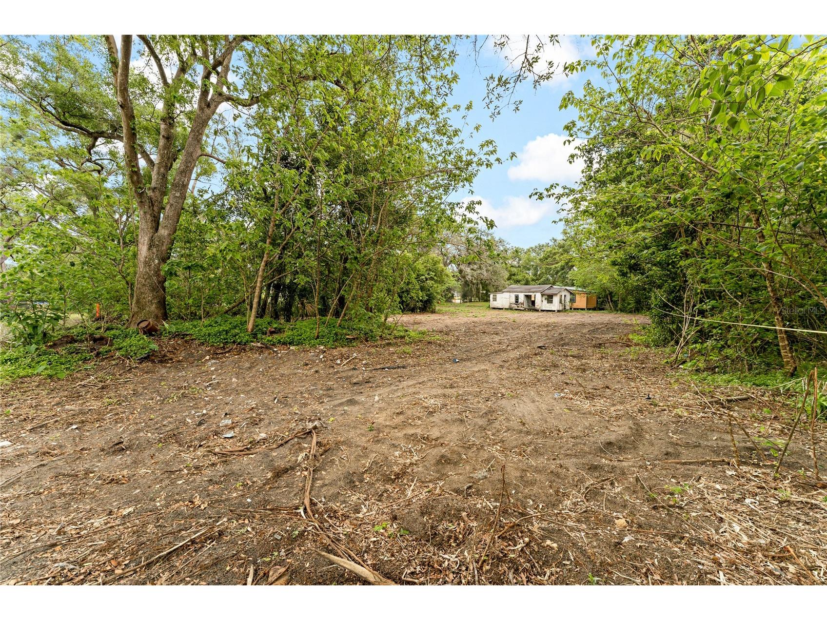 40611 Otis Allen Road Zephyrhills FL 33540 TB8498242 image8