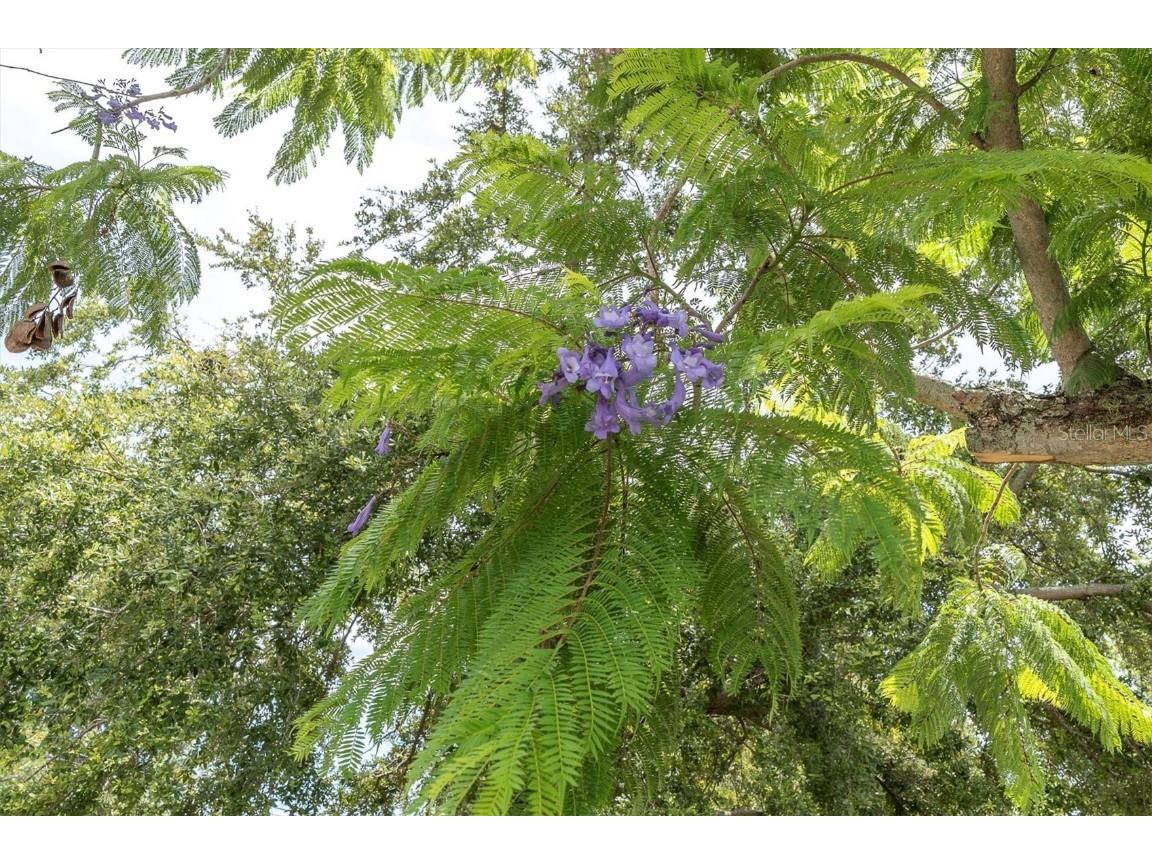 4062 9th Avenue N Saint Petersburg FL 33713 TB8408905 image54