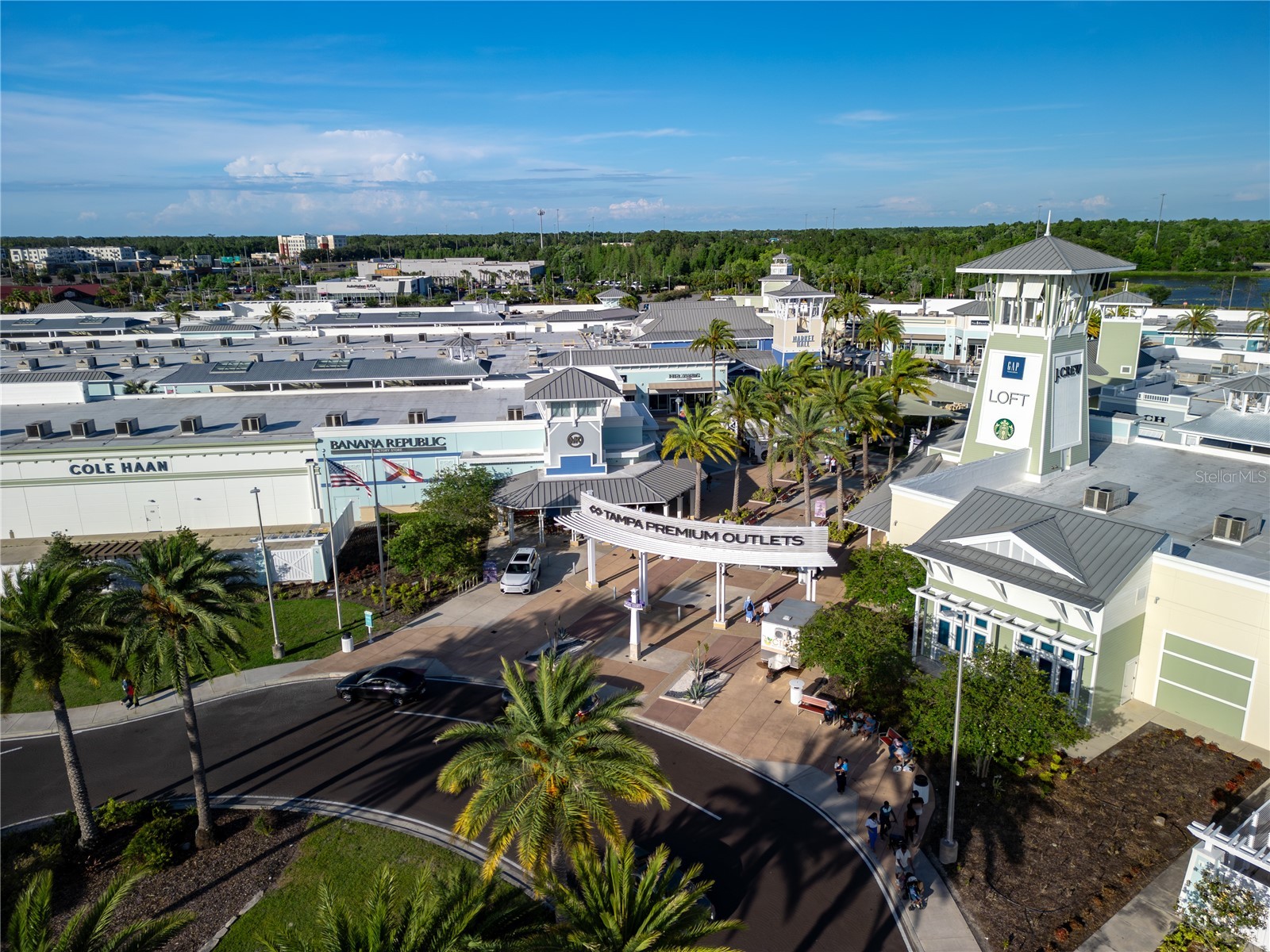 4062 Cloud Hopper Way Lutz FL 33559 TB8502918 image34