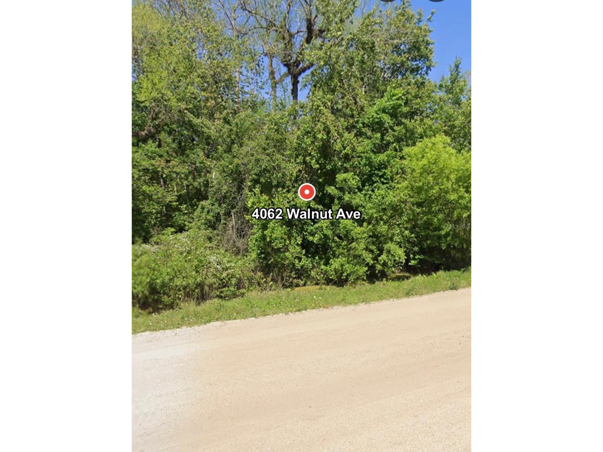 4062 Walnut Avenue Bunnell FL 32110 FC317630 image1