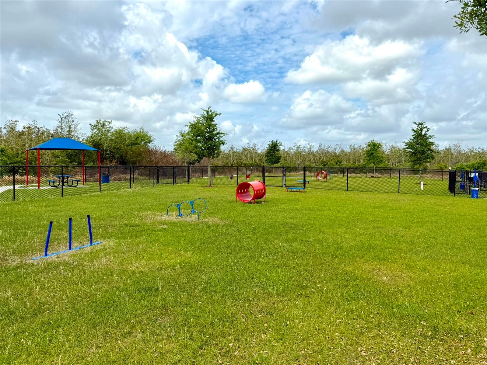 4063 Alissa Lane Haines City FL 33844 O6423077 image47
