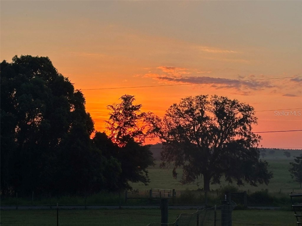 4063 Baseball Pond Road Brooksville FL 34602 TB8412099 image67