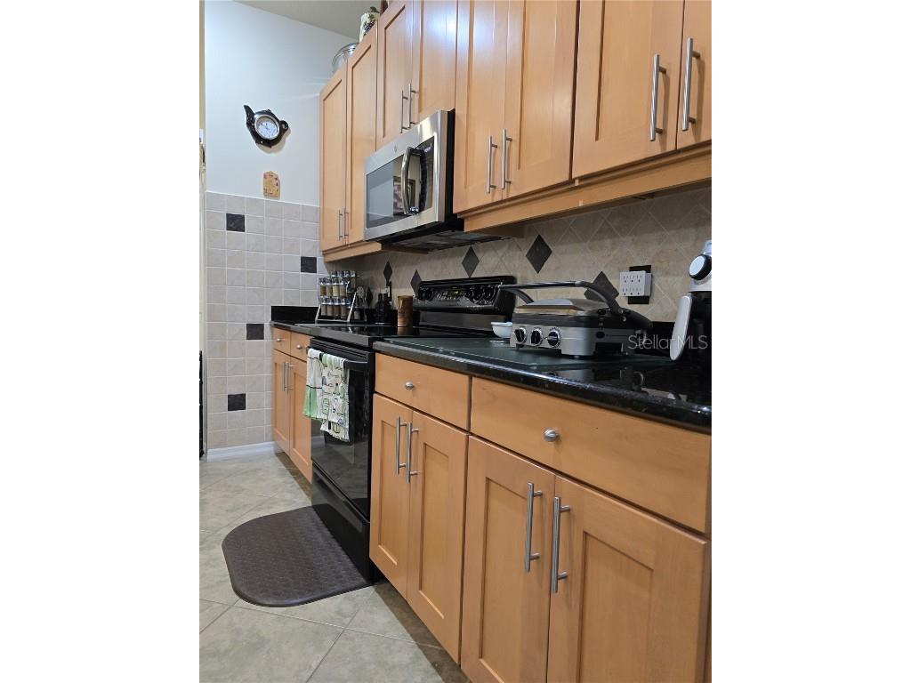 4063 Birkdale Drive Lake Wales FL 33859 - LAKE ASHTON & LAKE HART P4934292 image13