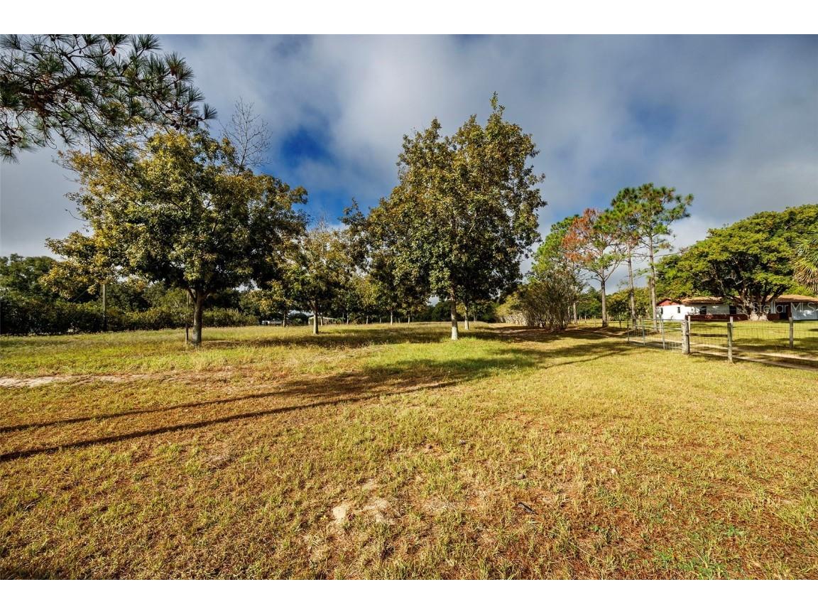 40635 Thomas Boat Landing Road Umatilla FL 32784 G5087003 image1