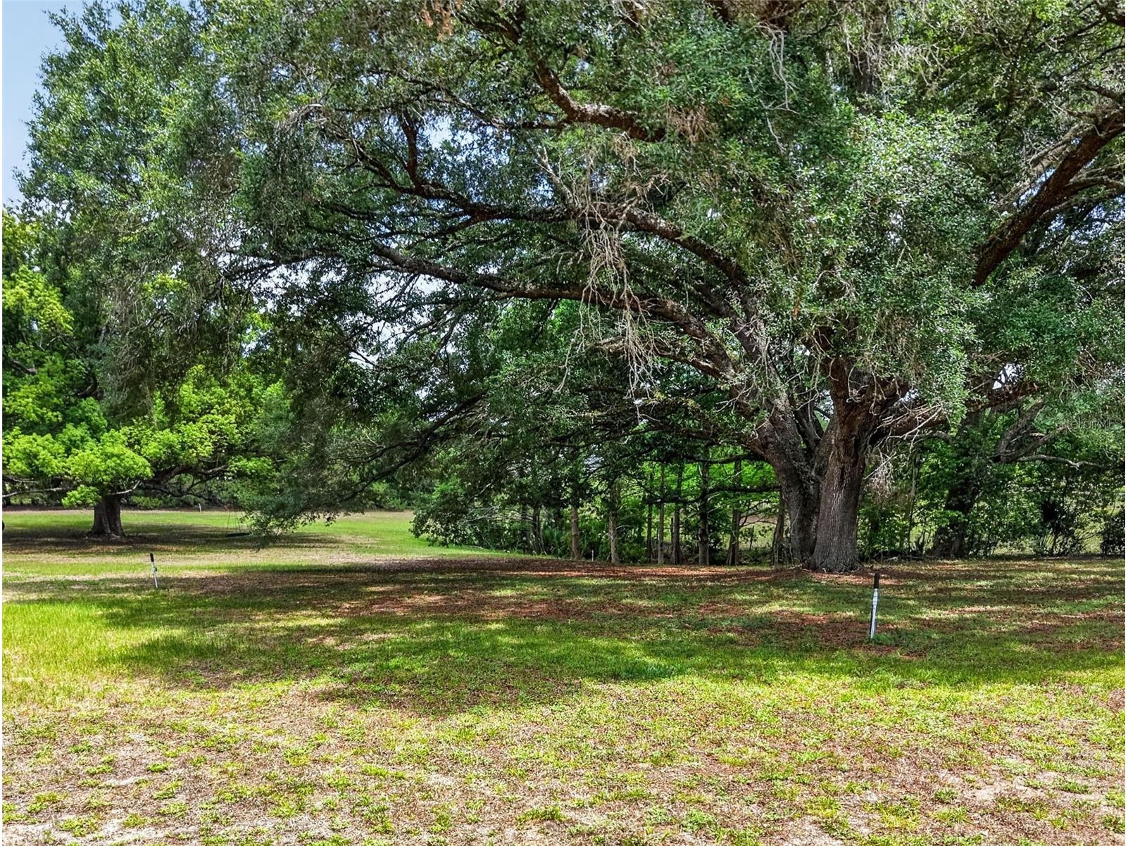 40635 Thomas Boat Landing Road Umatilla FL 32784 G5108453 image11