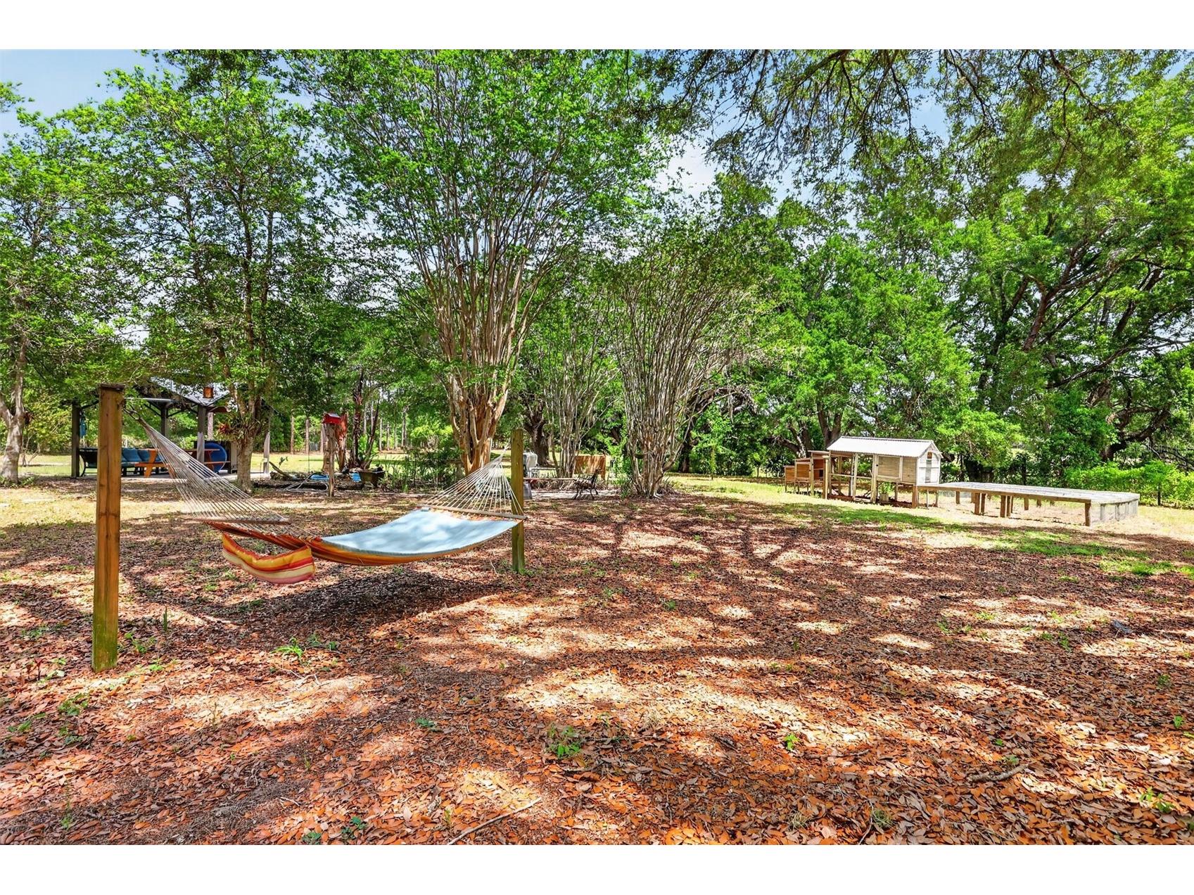 40635 Thomas Boat Landing Road Umatilla FL 32784 G5108453 image13