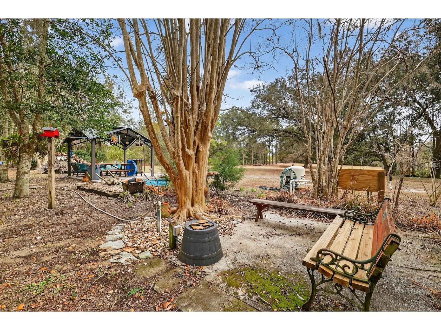 40635 Thomas Boat Landing Road Umatilla FL 32784 G5108453 image16