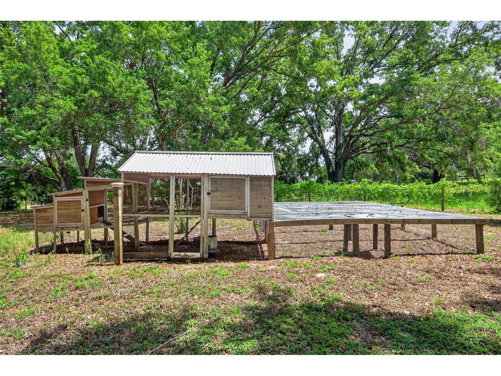 40635 Thomas Boat Landing Road Umatilla FL 32784 G5108453 image19