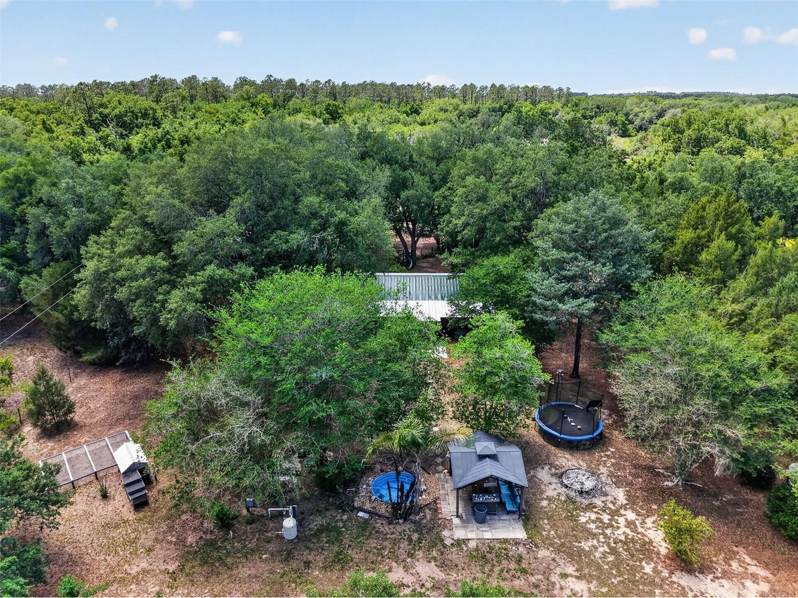 40635 Thomas Boat Landing Road Umatilla FL 32784 G5108453 image5