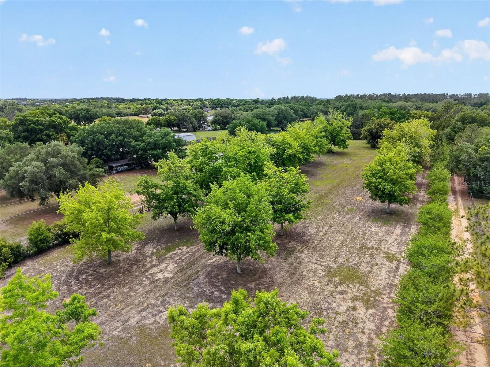 40635 Thomas Boat Landing Road Umatilla FL 32784 G5108453 image6