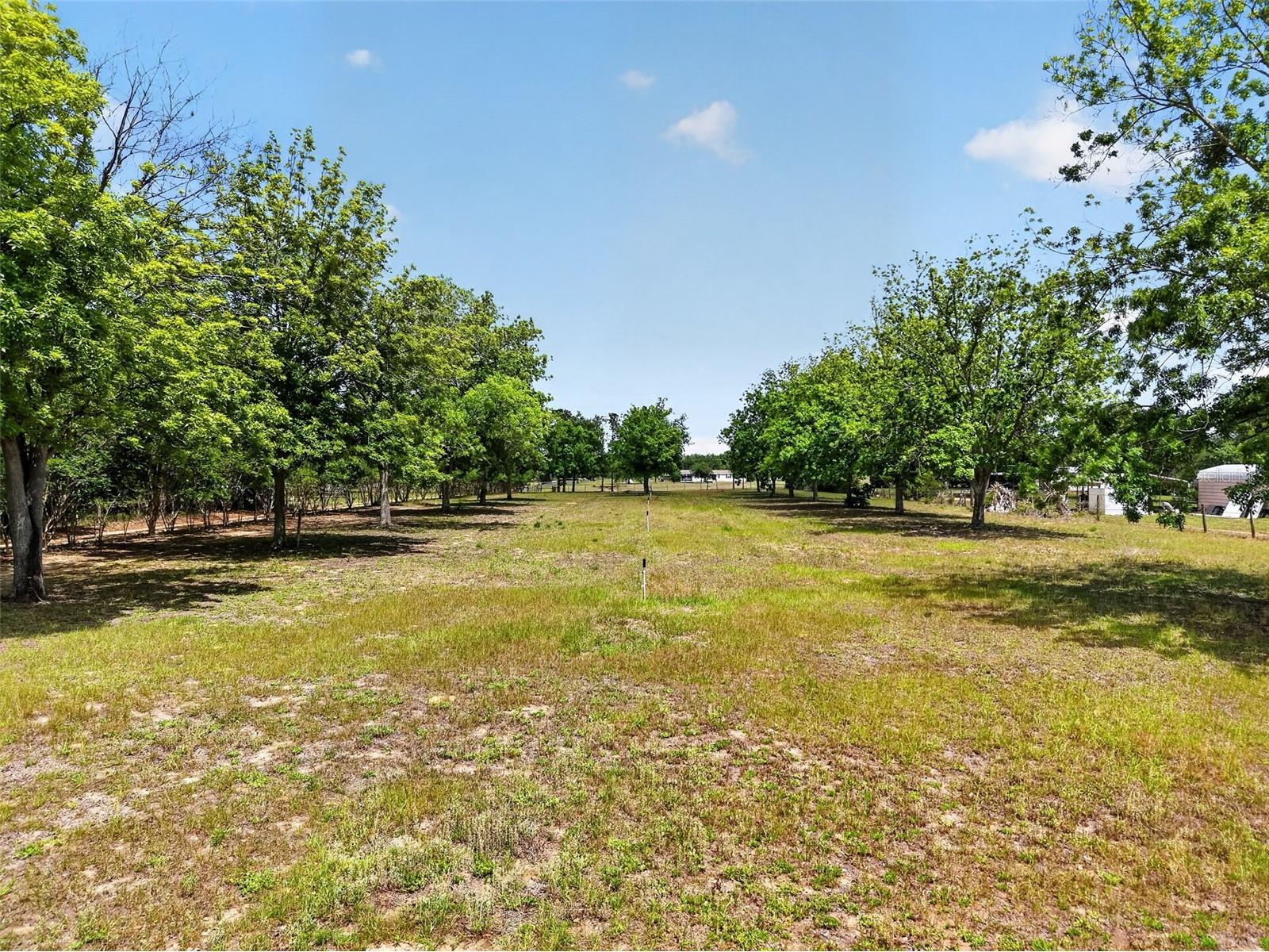 40635 Thomas Boat Landing Road Umatilla FL 32784 G5108453 image7