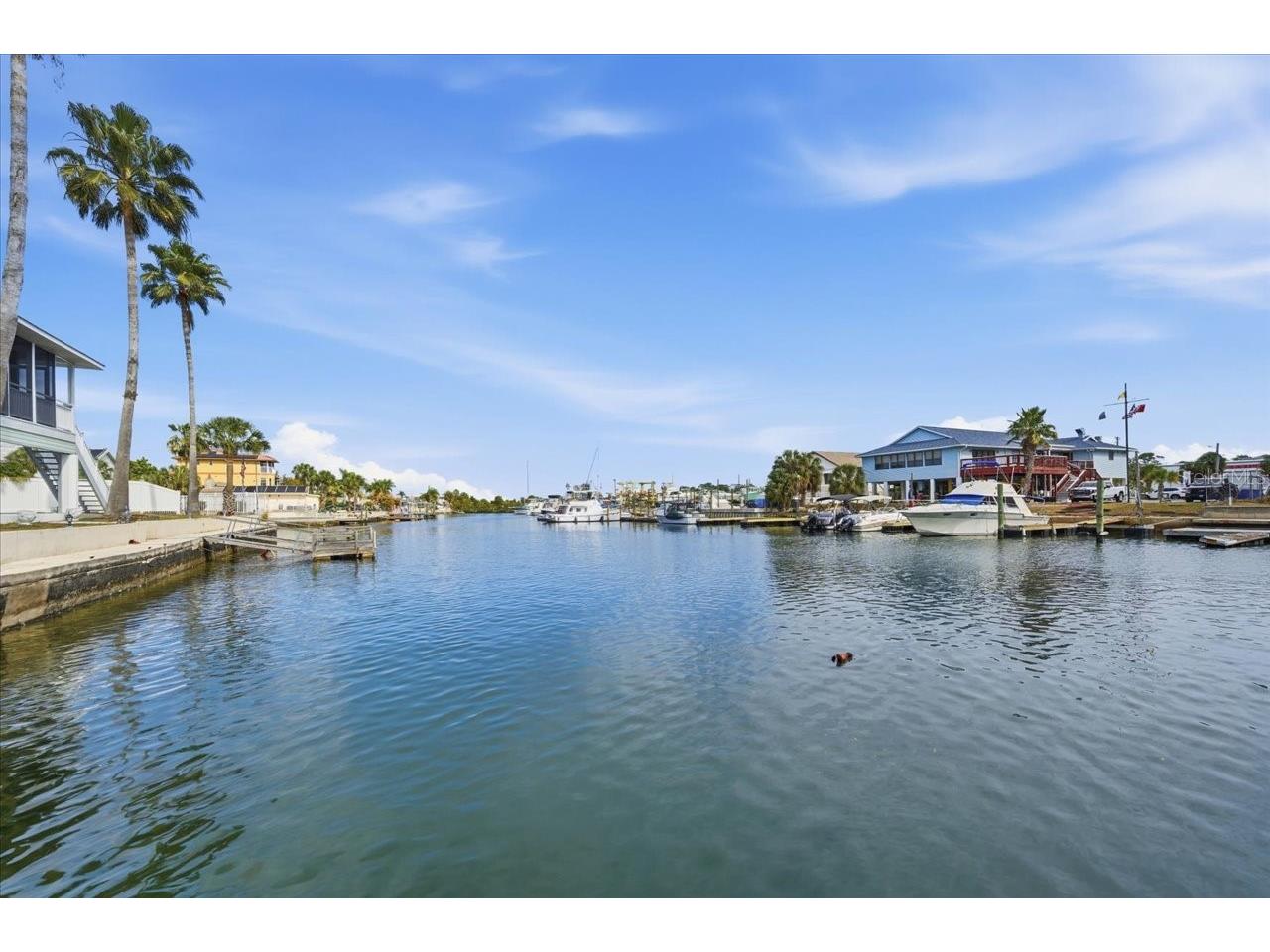 4064 Casa Court Spring Hill FL 34607 TB8478492 image33