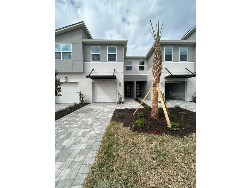 4065 Cloud Hopper Way Lutz FL 33559 T3495778 image1