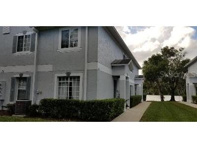 4065 Dolphin Drive Tampa FL 33617 - HILLSBOROUGH RIVER T3343238 image1