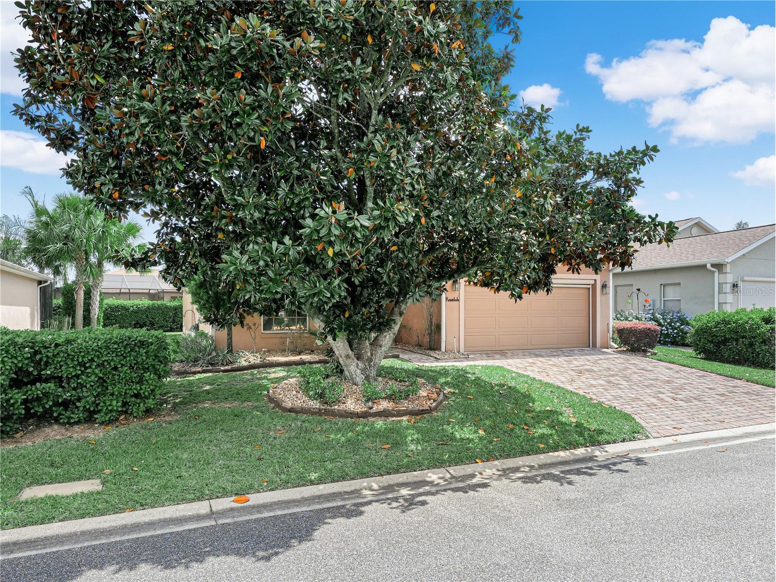 4067 Birkdale Drive Lake Wales FL 33859 P4938434 image26
