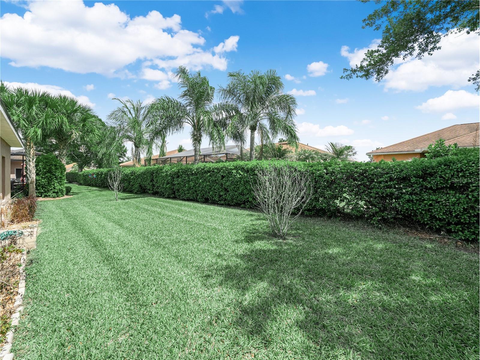 4067 Birkdale Drive Lake Wales FL 33859 P4938434 image28