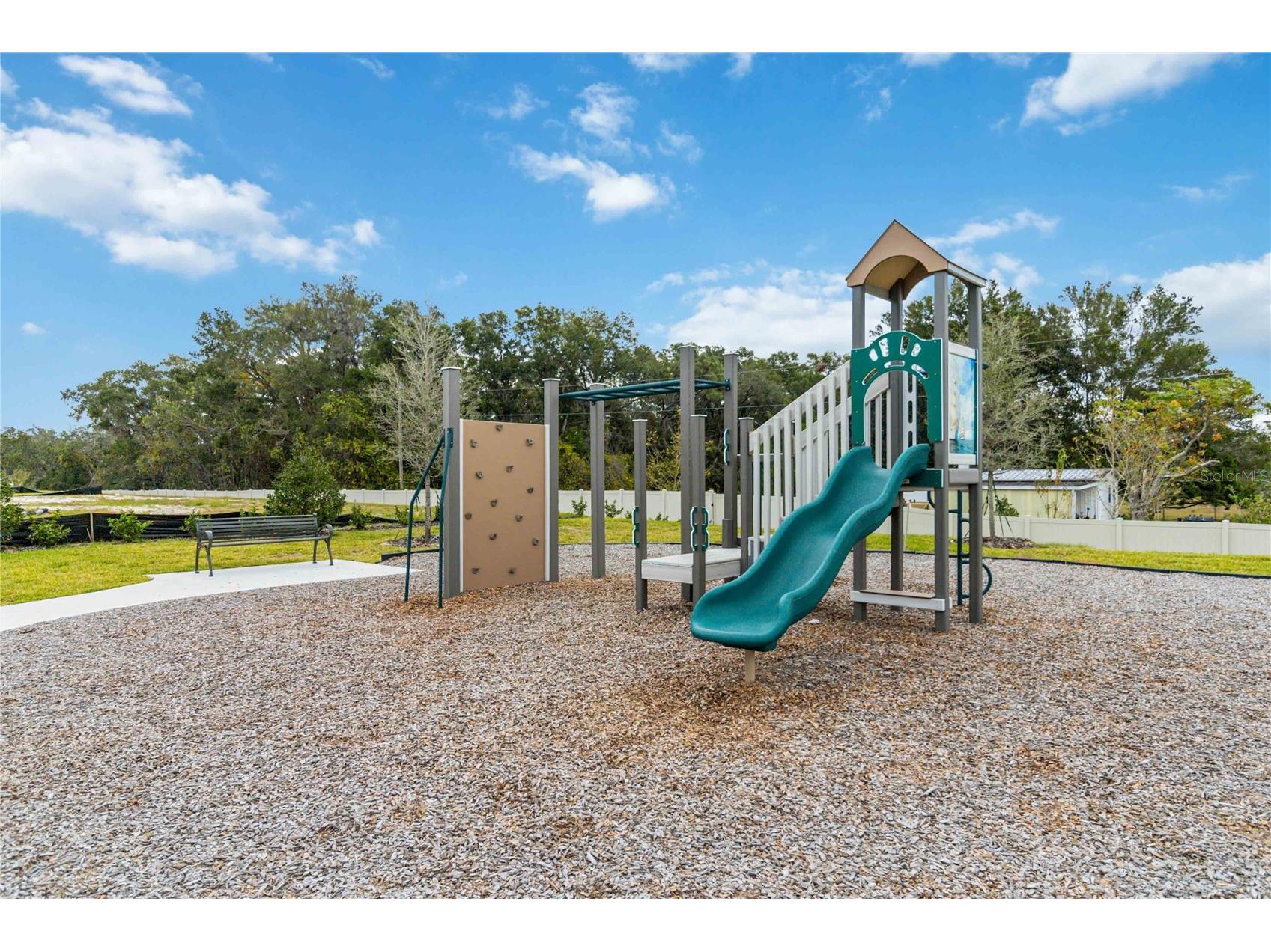 4067 Meandering Bay Drive Apopka FL 32712 O6412379 image28