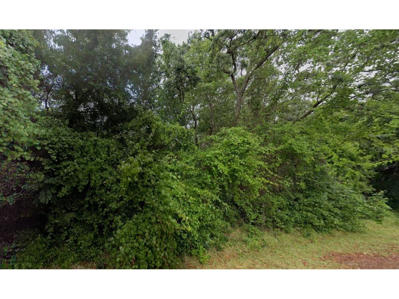 4067 Monona Avenue Spring Hill FL 34606 OK224280 image1