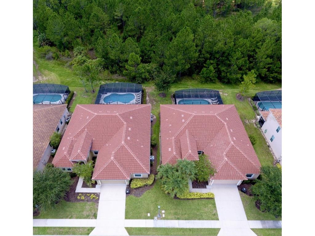 4067 Oaktree Drive Davenport FL 33837 TB8448832 image2