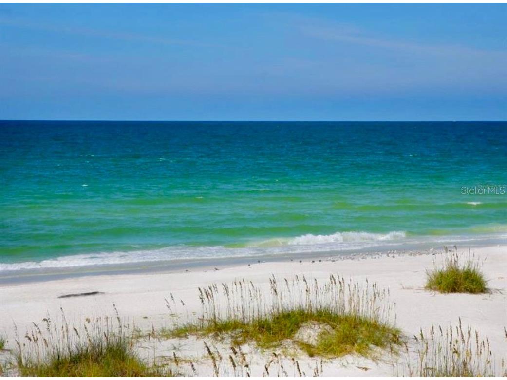 4067 Overture Circle #4067 Bradenton FL 34209 O6333542 image29