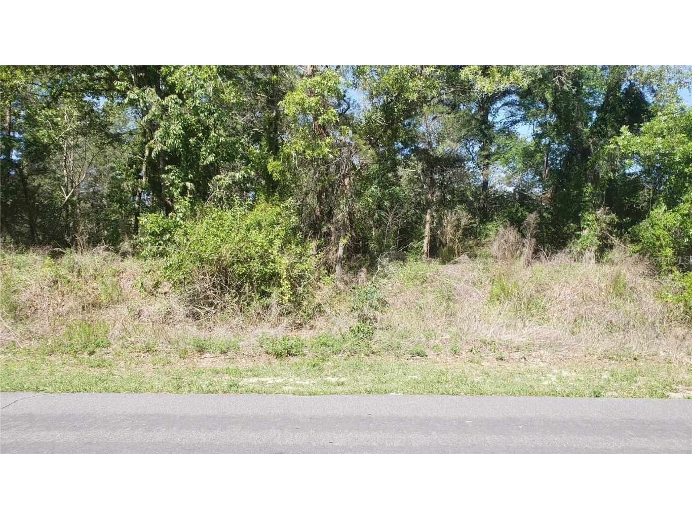 4067 Portillo Road Spring Hill FL 34608 W7854714 image1