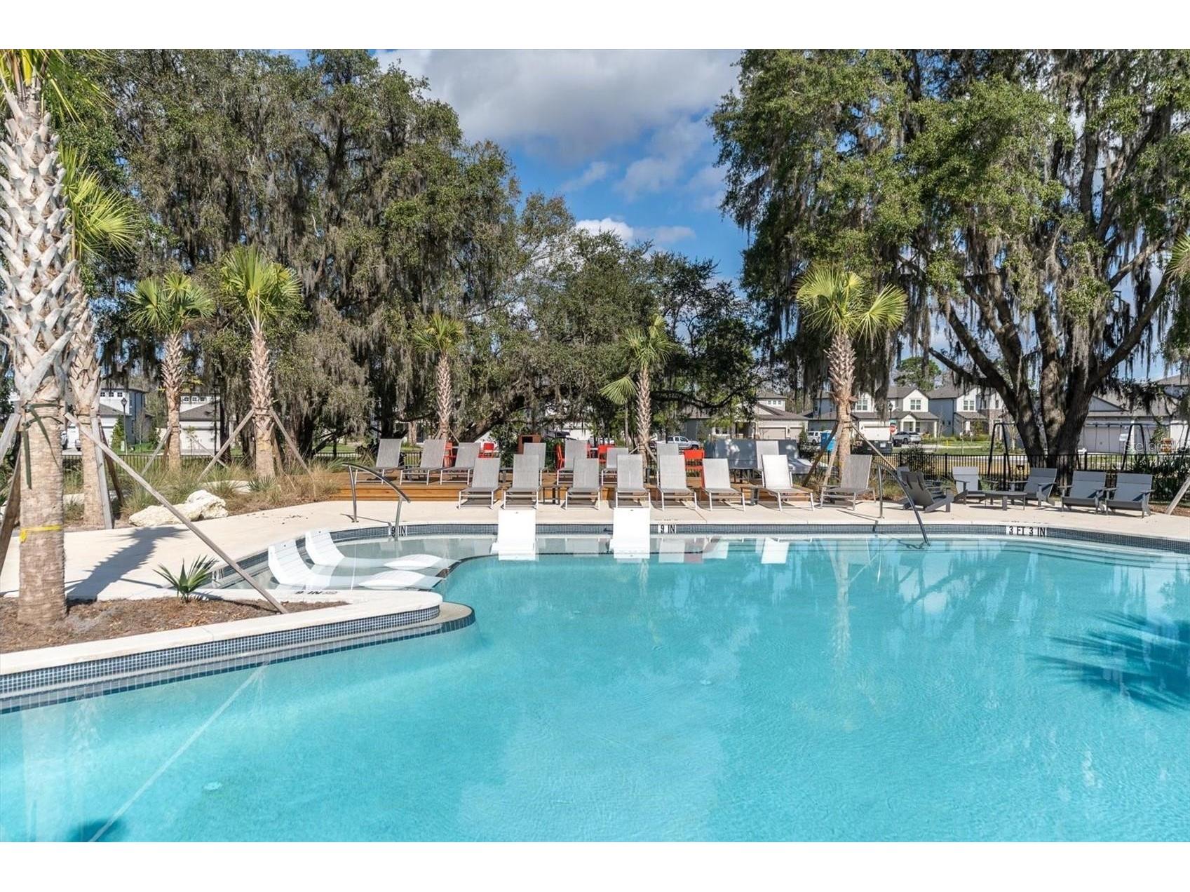 4068 Bonfire Drive Odessa FL 33556 TB8489901 image72