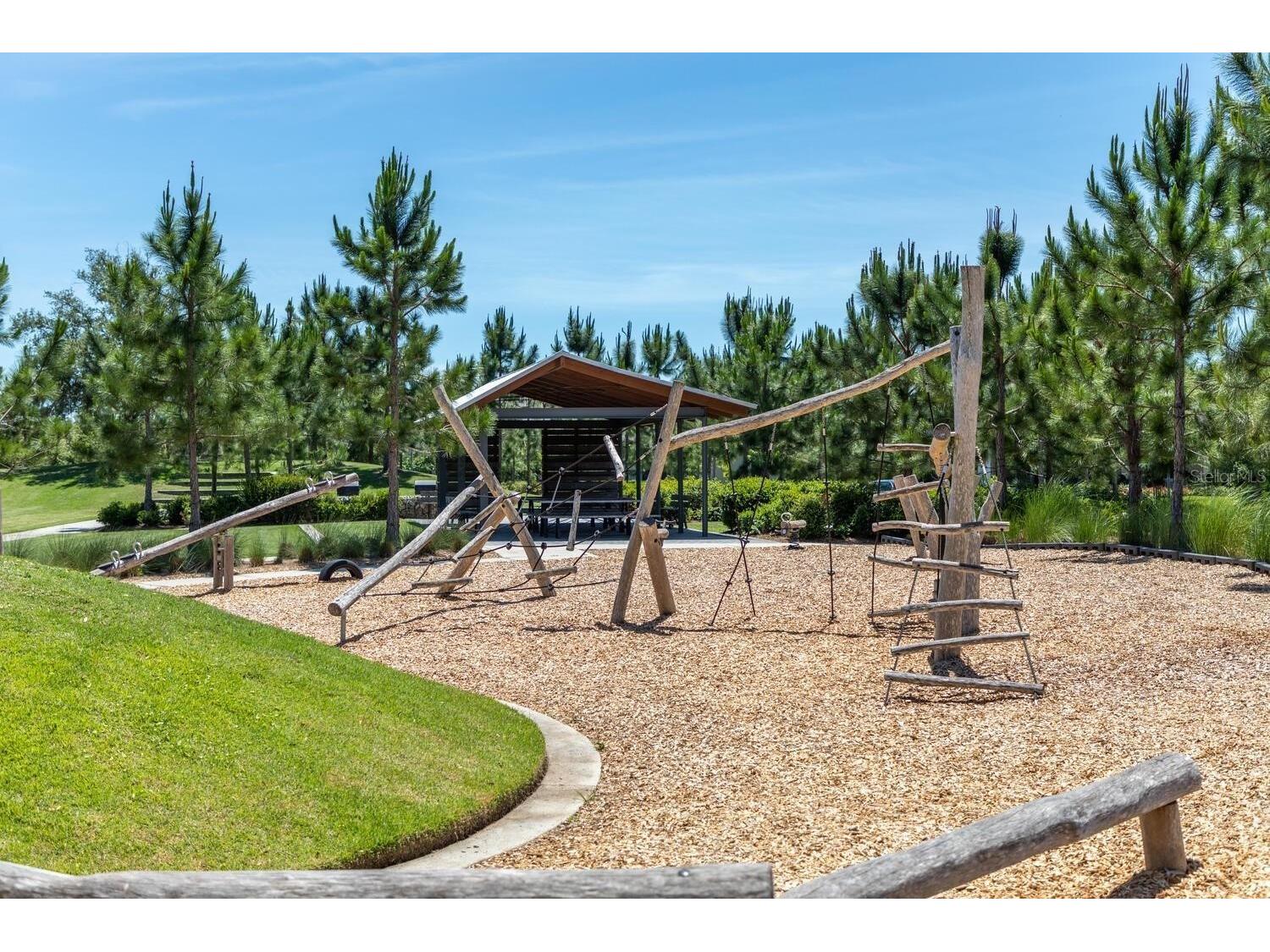 4068 Bonfire Drive Odessa FL 33556 TB8489901 image81