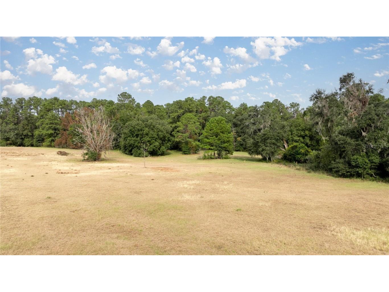 4068 SW 62nd Avenue Gainesville FL 32608 O6259207 image5