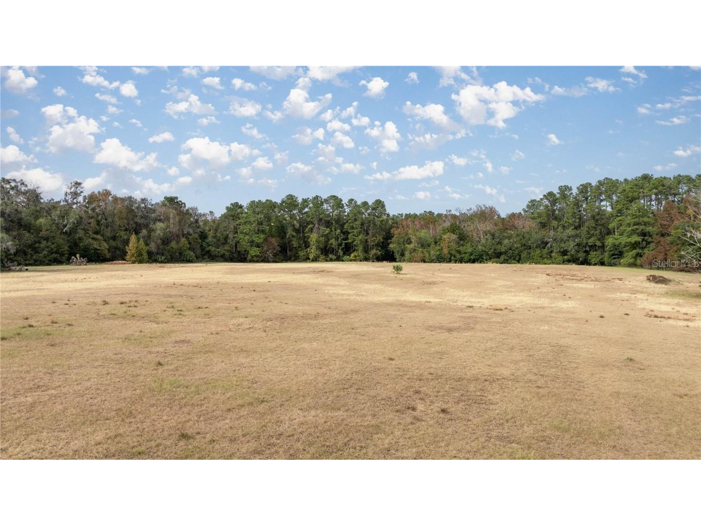 4068 SW 62nd Avenue Gainesville FL 32608 O6259207 image6