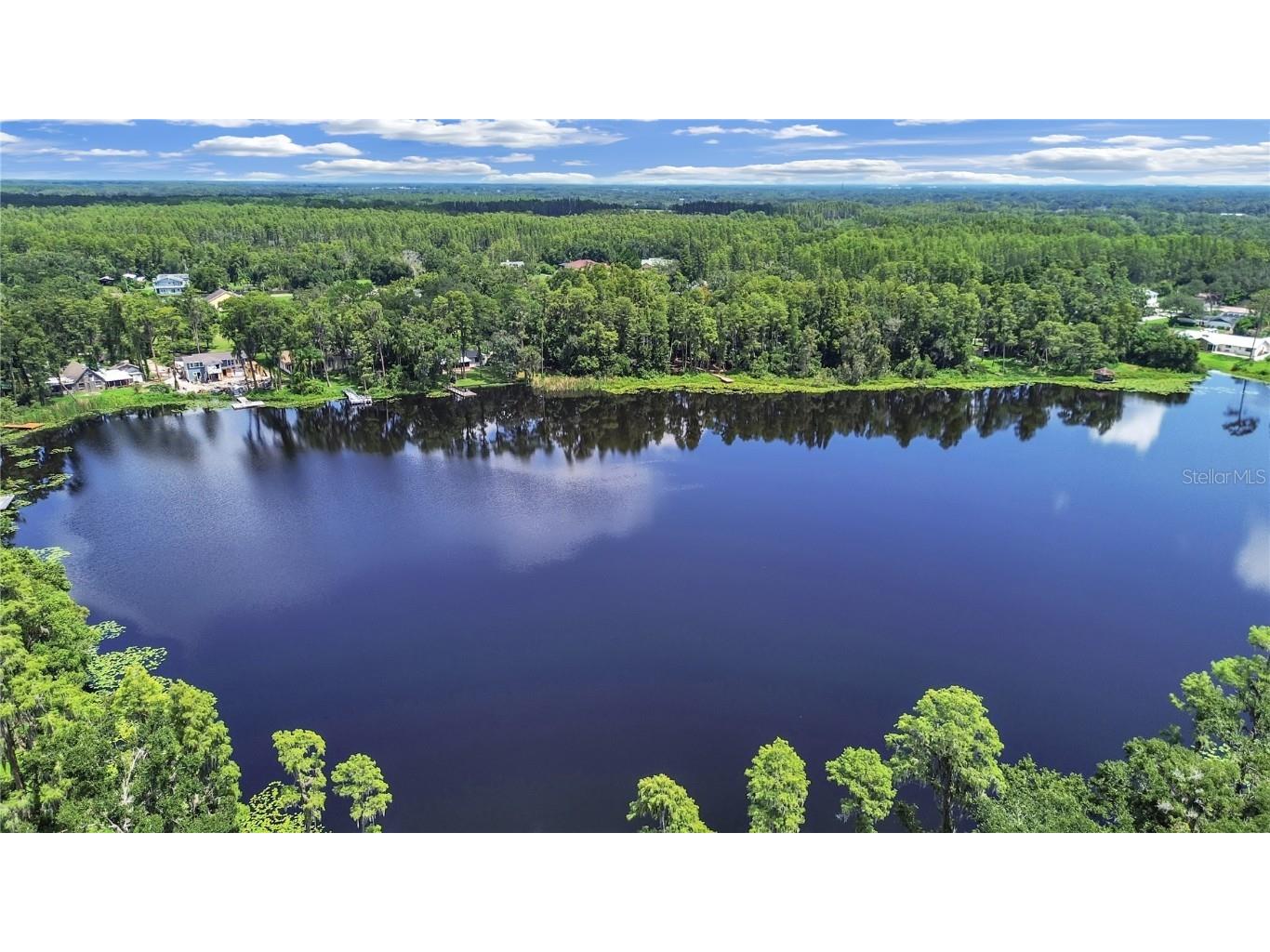 407 2nd Avenue SE Lutz FL 33549 TB8423907 image1