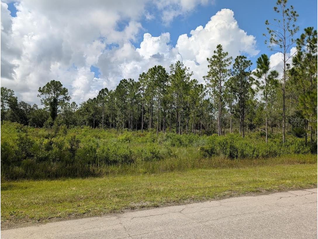 407 & 409 Palm Avenue Indian Lake Estates FL 33855 - LAKE WALK-IN-WATER TB8415153 image1