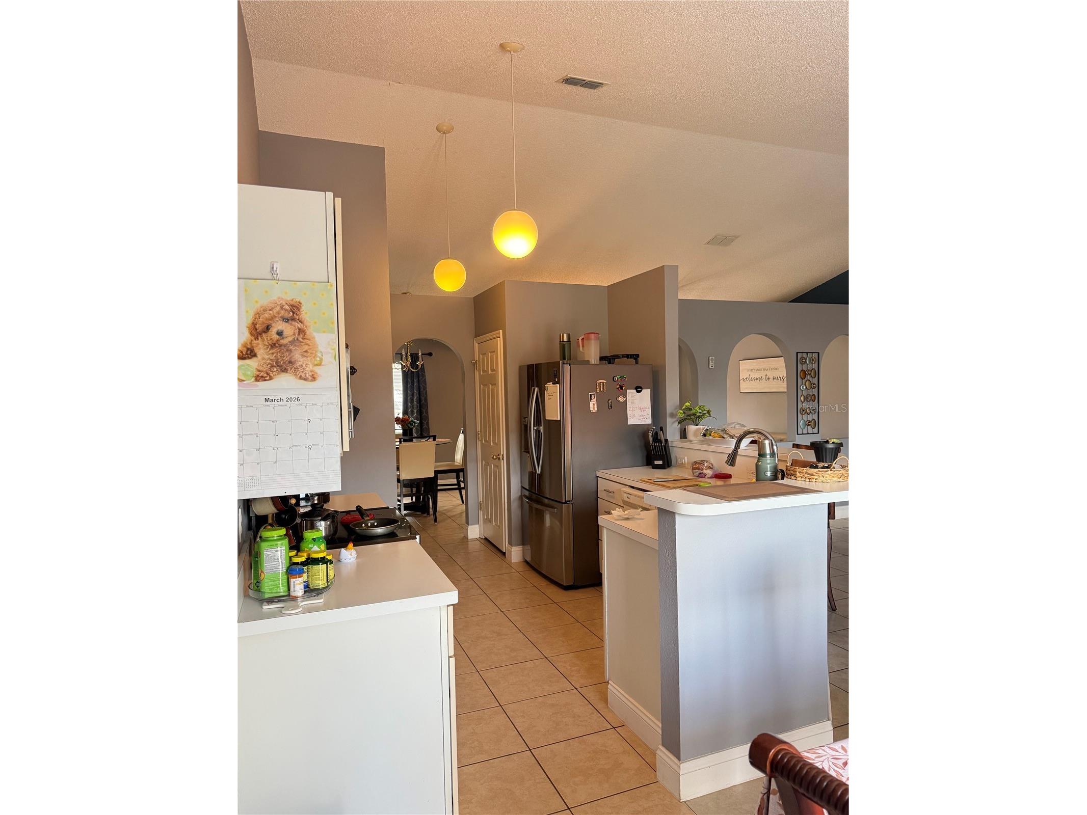 407 Blackbird Way Kissimmee FL 34759 S5145462 image22