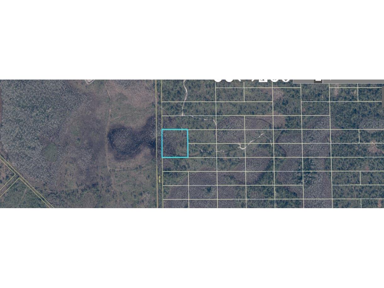 407 Dill Road Orlando FL 32820 O6414483 image1