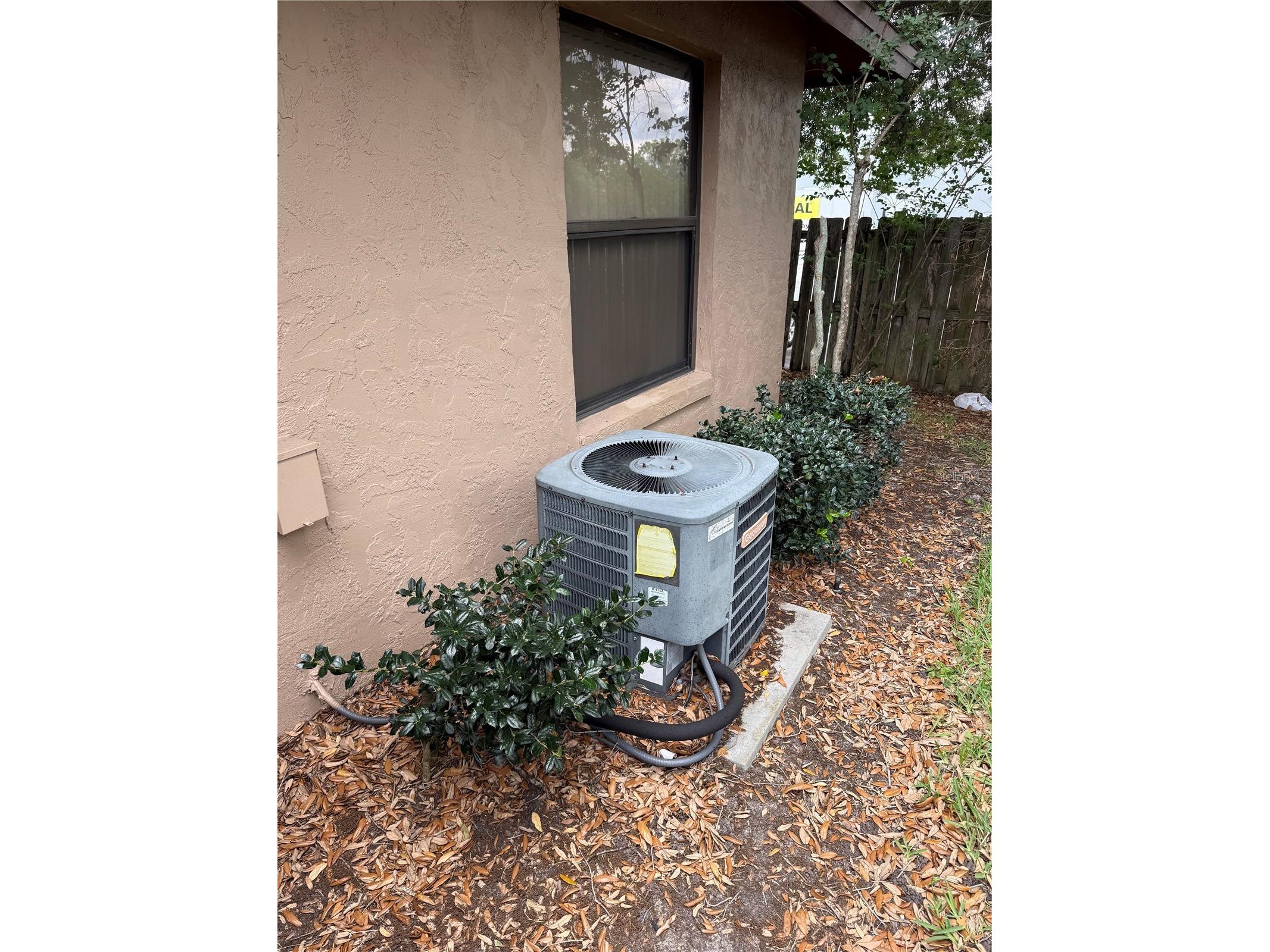 407 Douglas Way #66 Winter Garden FL 34787 G5111695 image11