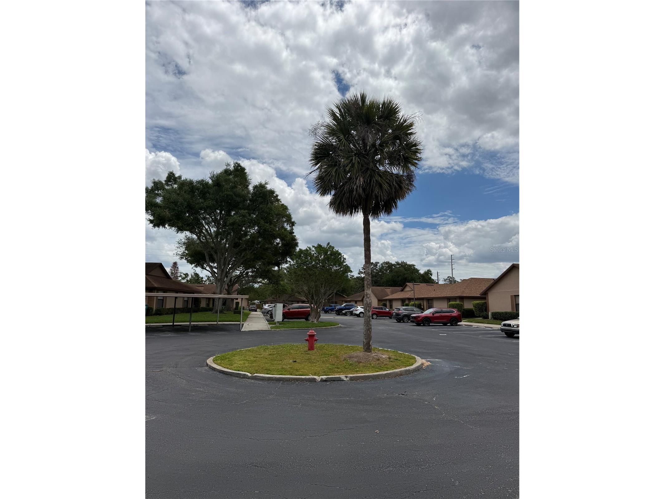 407 Douglas Way #66 Winter Garden FL 34787 G5111695 image5