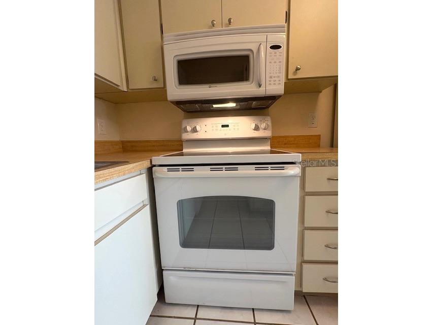 407 Feltham Trail #B Sun City Center FL 33573 TB8492662 image10