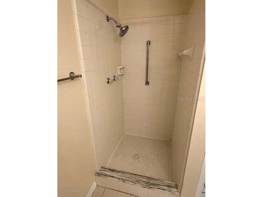 407 Feltham Trail #B Sun City Center FL 33573 TB8492662 image37