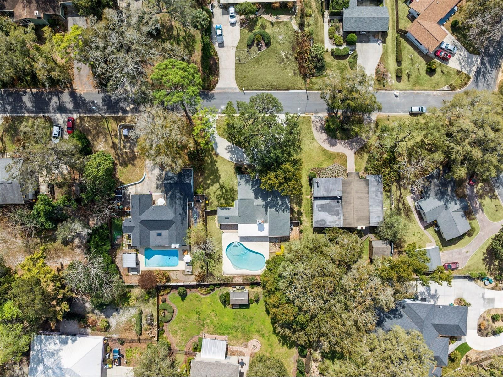 407 Forest Road Mount Dora FL 32757 O6384266 image27