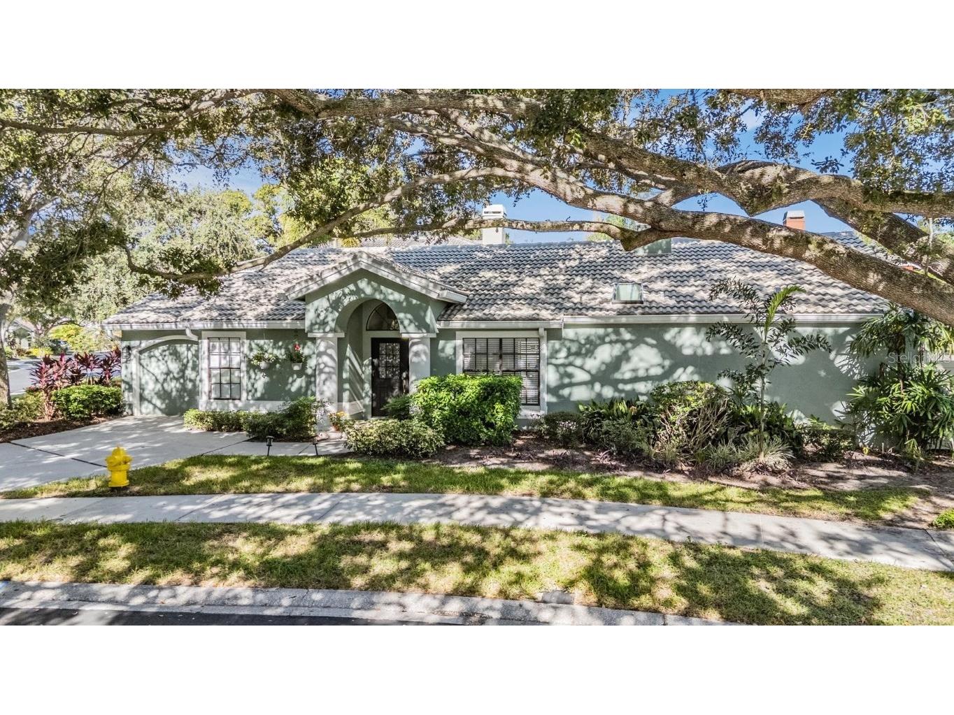 407 Georgetown Place Safety Harbor FL 34695 TB8429877 image1