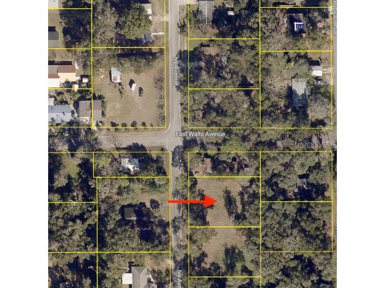 407 Ivy Avenue Deland FL 32724 V4946619 image1