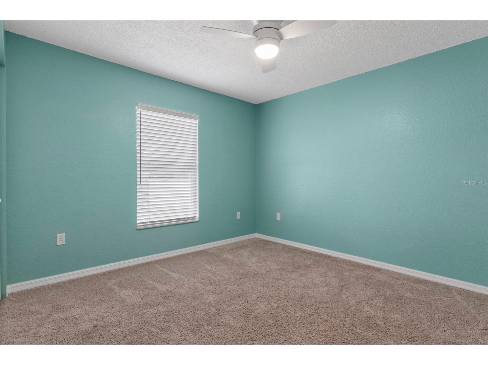 407 Montpelier Court Spring Hill FL 34608 W7886314 image31