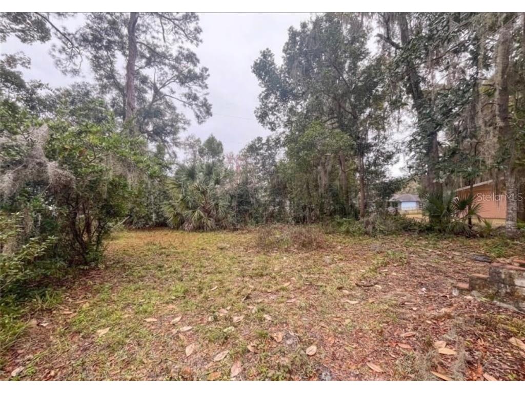 407 NE 19th Drive Gainesville FL 32641 GC540619 image3