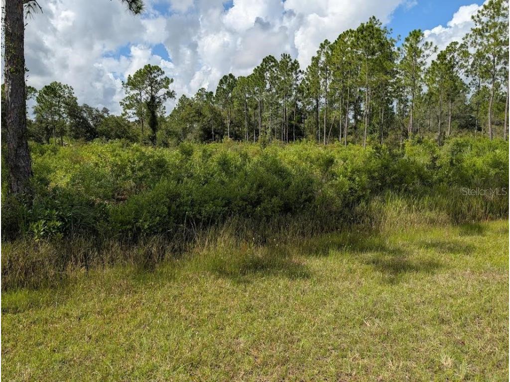 407 Palm Avenue Indian Lake Estates FL 33855 - LAKE WALK-IN-WATER TB8415153 image4