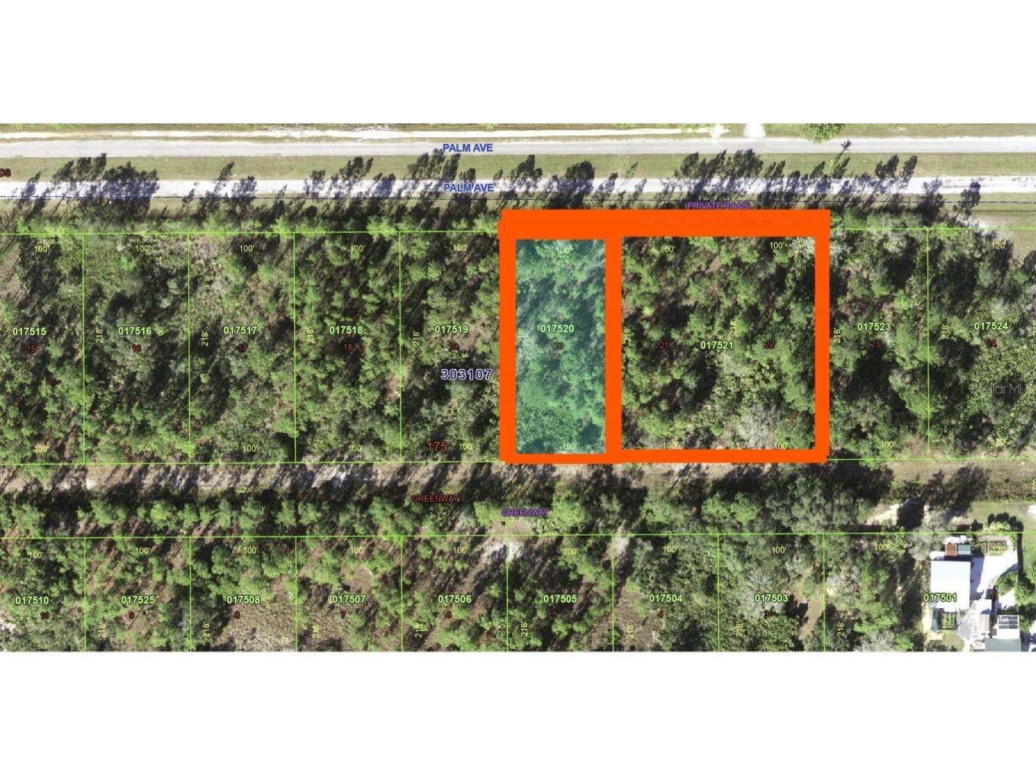 407 Palm Avenue Indian Lake Estates FL 33855 - LAKE WALK-IN-WATER TB8415153 image6